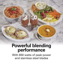 Hamilton Beach Stay Or Go 8-pc. Blender System -Zojirushi Sales Store 2133250 ALT3