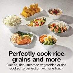 Hamilton Beach 20-Cup Glass Lid Rice Cooker -Zojirushi Sales Store 2947895 ALT4